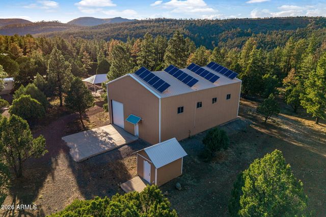 31 E COUNTY ROAD N2163 Drive, Nutrioso, AZ 85932