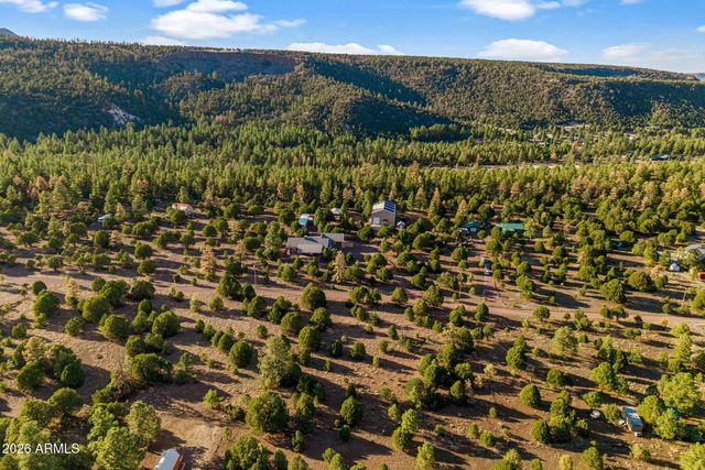 31 E COUNTY ROAD N2163 Drive, Nutrioso, AZ 85932