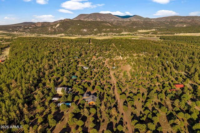 31 E COUNTY ROAD N2163 Drive, Nutrioso, AZ 85932