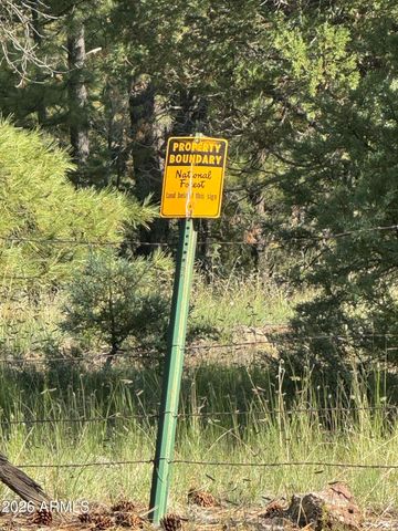 31 E COUNTY ROAD N2163 Drive, Nutrioso, AZ 85932