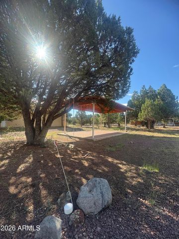 31 E COUNTY ROAD N2163 Drive, Nutrioso, AZ 85932