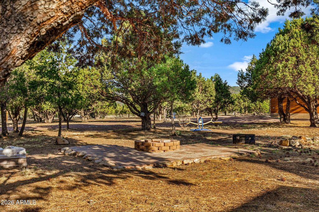 Image 42 of property listing at 31 E COUNTY ROAD N2163 Drive, Nutrioso, AZ 85932