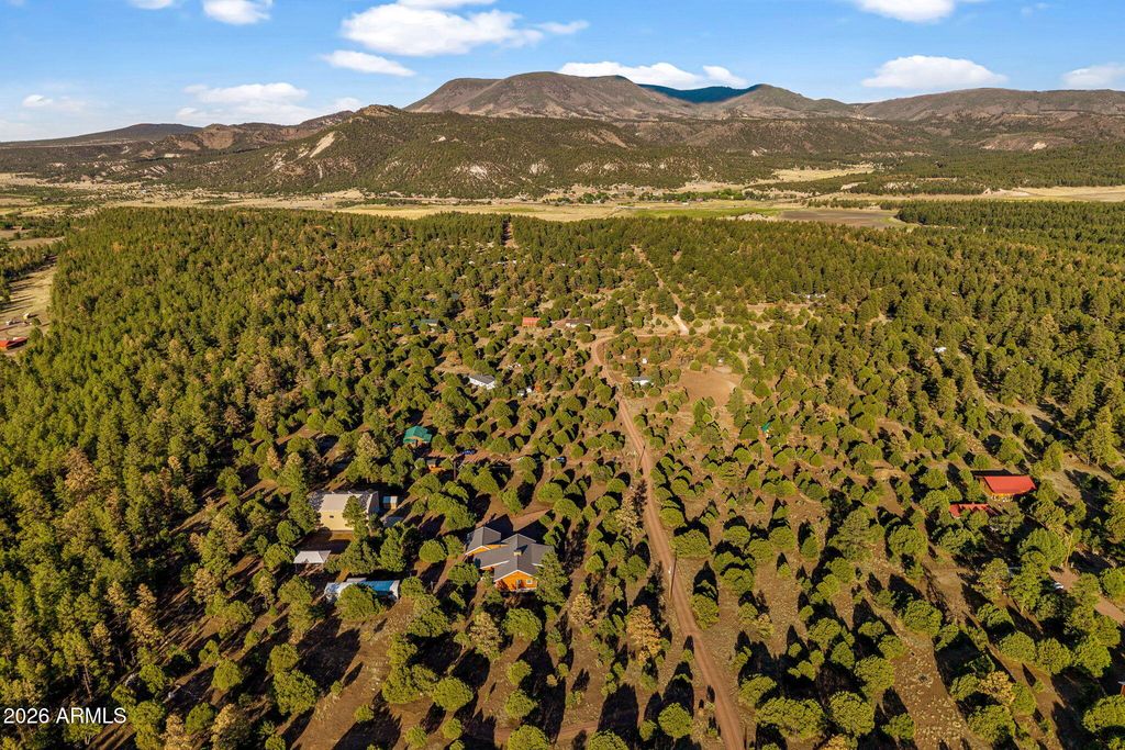 Image 48 of property listing at 31 E COUNTY ROAD N2163 Drive, Nutrioso, AZ 85932