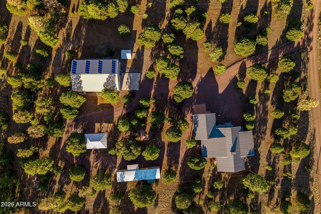 Image 49 of property listing at 31 E COUNTY ROAD N2163 Drive, Nutrioso, AZ 85932