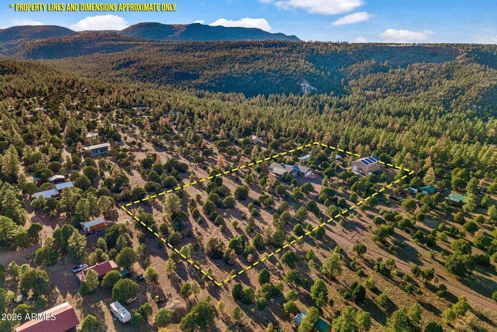 Image 50 of property listing at 31 E COUNTY ROAD N2163 Drive, Nutrioso, AZ 85932