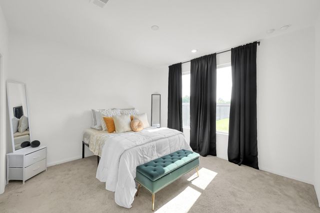 17902 Cranberry Scoop, Hockley, TX 77447