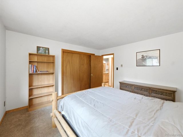 46 Bay Lane, Bailey, CO 80421