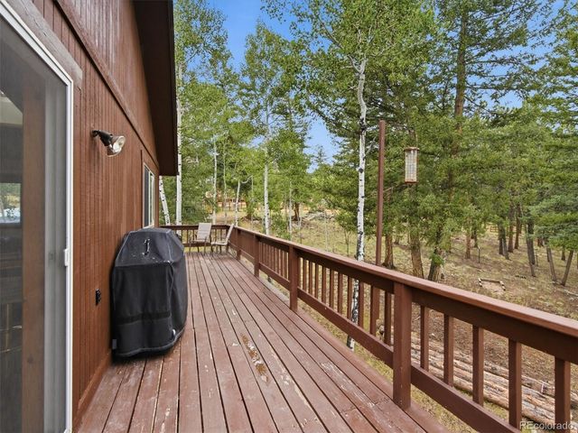 46 Bay Lane, Bailey, CO 80421
