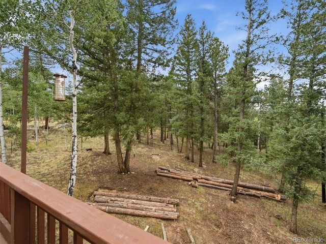 46 Bay Lane, Bailey, CO 80421