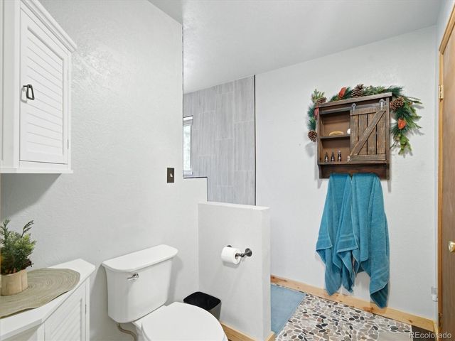 46 Bay Lane, Bailey, CO 80421