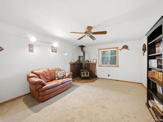 46 Bay Lane, Bailey, CO 80421