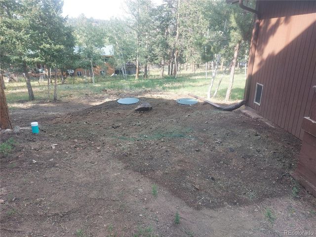 46 Bay Lane, Bailey, CO 80421