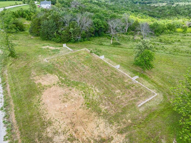 110 Stage Coach Road, Kirbyville, MO 65679