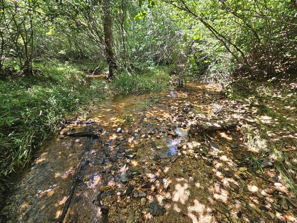 0 W James Anderson Highway, Gladstone, VA 24553