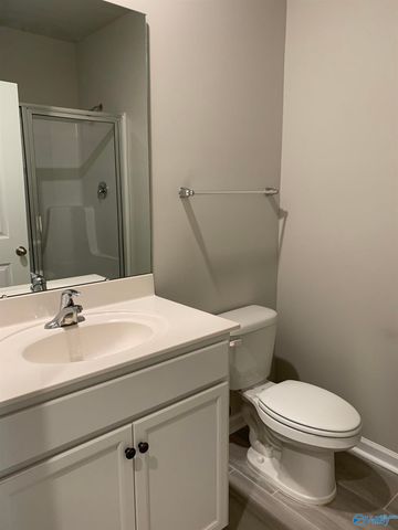 223 Ivyleaf Drive, Madison, AL 35757