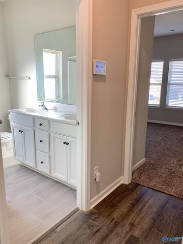 223 Ivyleaf Drive, Madison, AL 35757