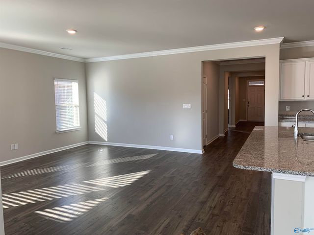 223 Ivyleaf Drive, Madison, AL 35757