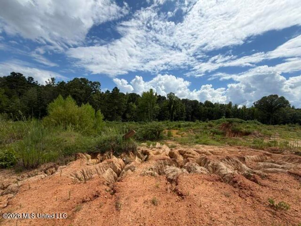 8 Taylor Nicole Road, Byhalia, MS 38611 — photo 3