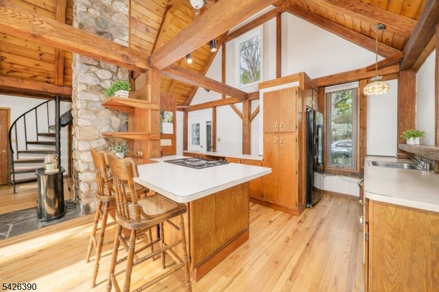 11 Ames Rd, Morris Twp., NJ 07960