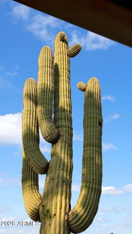 5716 E DESERT VISTA Trail, Cave Creek, AZ 85331