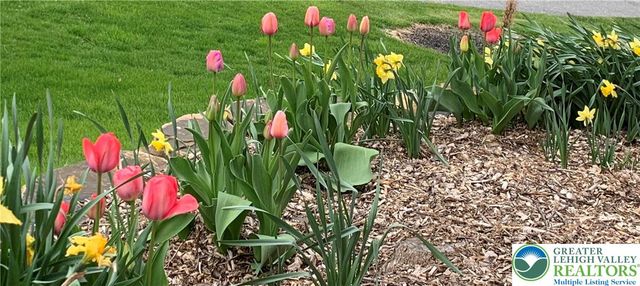 6335 Red Fox, Upper Saucon Twp, PA 18036