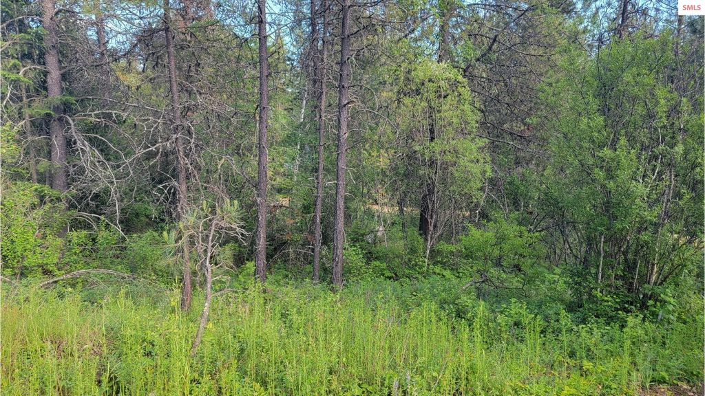 NNA Gleason McAbee Falls Rd, Priest River, ID 83856 photo 11