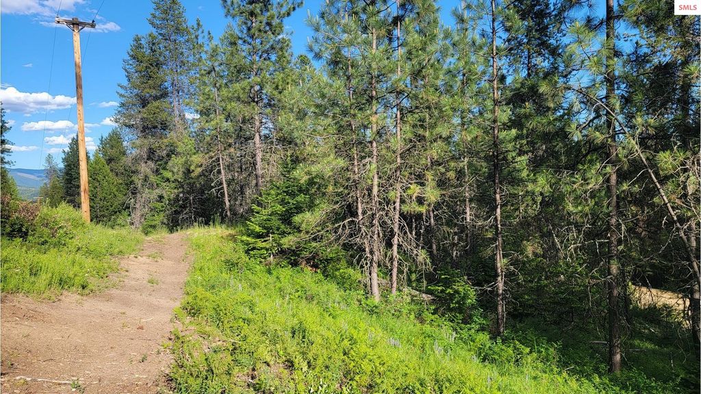 NNA Gleason McAbee Falls Rd, Priest River, ID 83856 photo 12