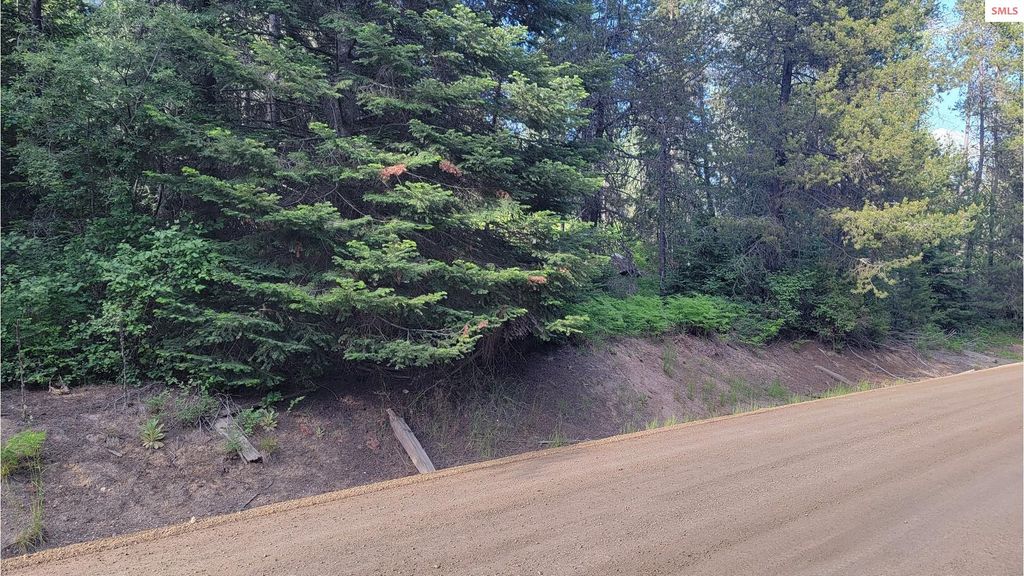 NNA Gleason McAbee Falls Rd, Priest River, ID 83856 photo 15