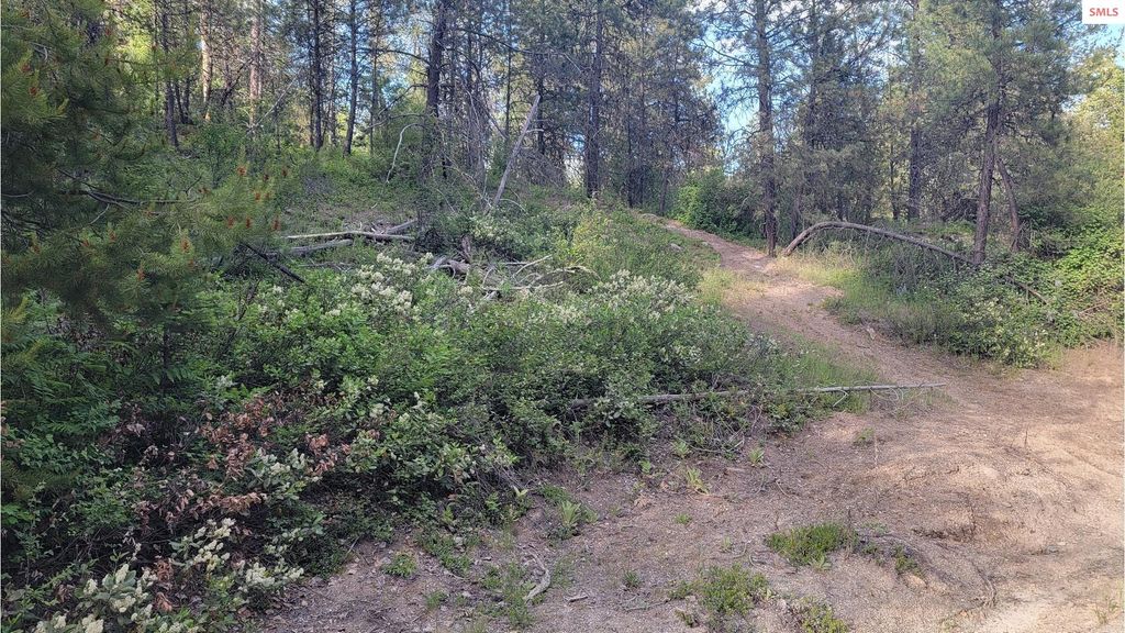 NNA Gleason McAbee Falls Rd, Priest River, ID 83856 photo 17