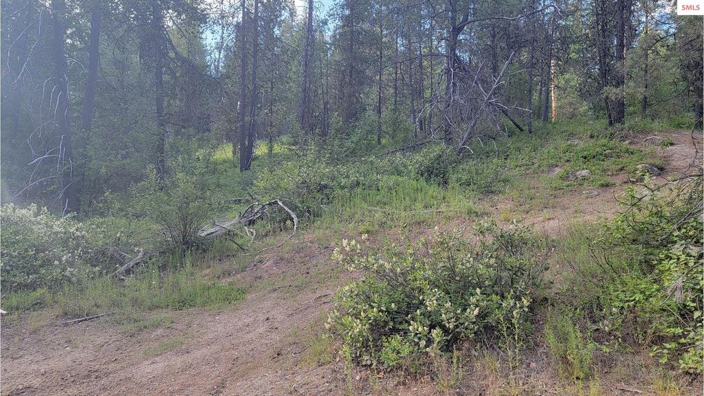 NNA Gleason McAbee Falls Rd, Priest River, ID 83856 photo 18