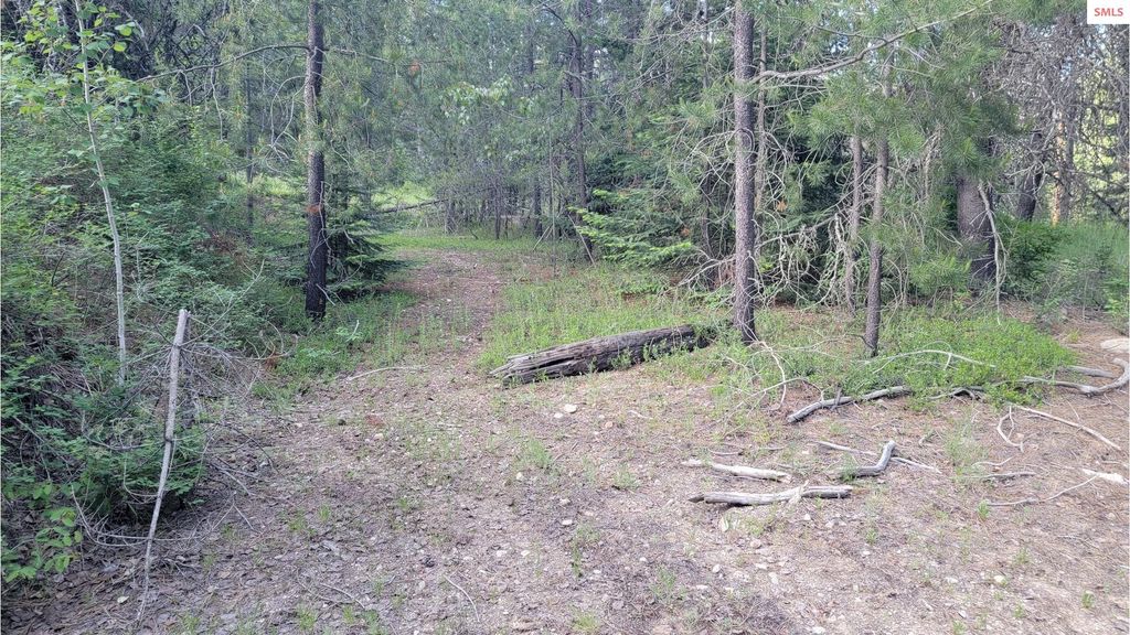 NNA Gleason McAbee Falls Rd, Priest River, ID 83856 photo 19