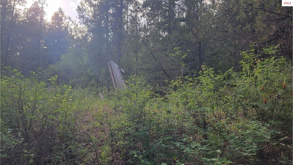 NNA Gleason McAbee Falls Rd, Priest River, ID 83856 photo 20