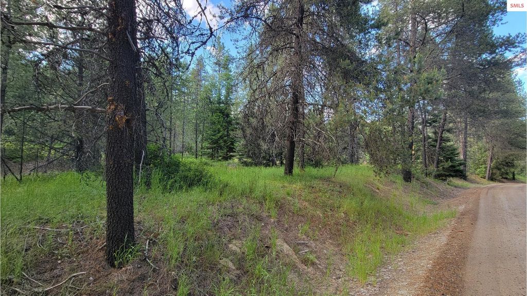 NNA Gleason McAbee Falls Rd, Priest River, ID 83856 photo 23