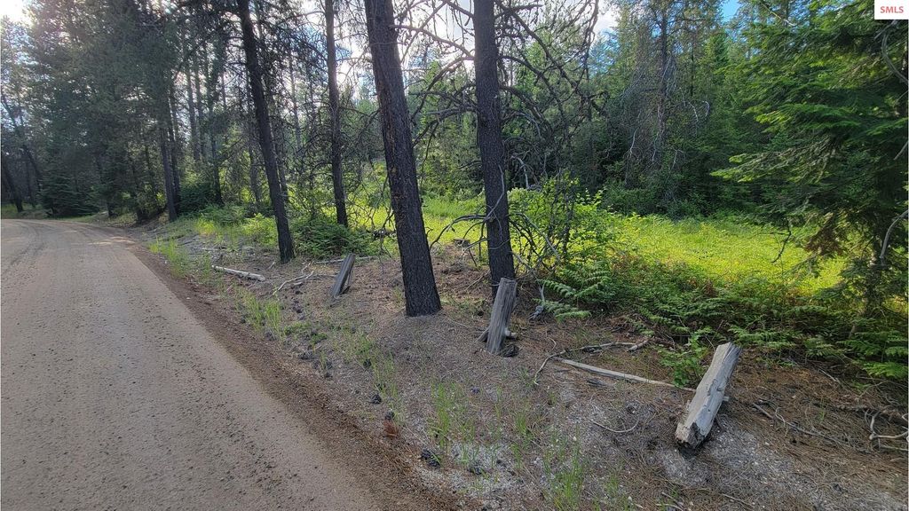 NNA Gleason McAbee Falls Rd, Priest River, ID 83856 photo 25