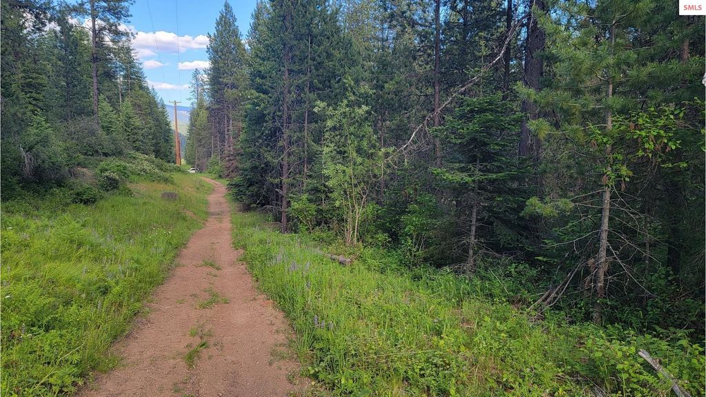 NNA Gleason McAbee Falls Rd, Priest River, ID 83856 photo 9