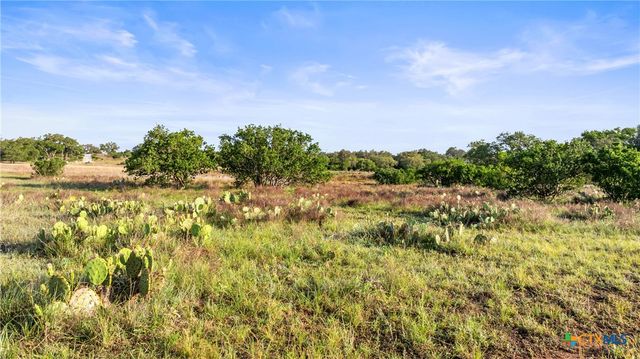 Lot 4 Vista Ridge Dr, Round Mountain, TX 78663