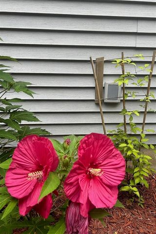 10345 Red Oak Ridge, Howard City, MI 49329