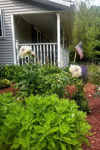 10345 Red Oak Ridge, Howard City, MI 49329