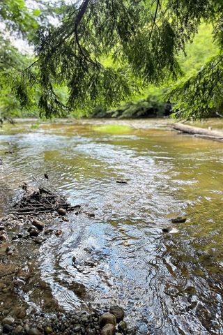 10345 Red Oak Ridge, Howard City, MI 49329