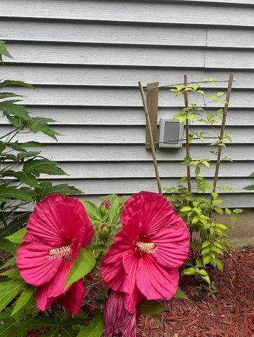 10345 Red Oak Ridge, Howard City, MI 49329