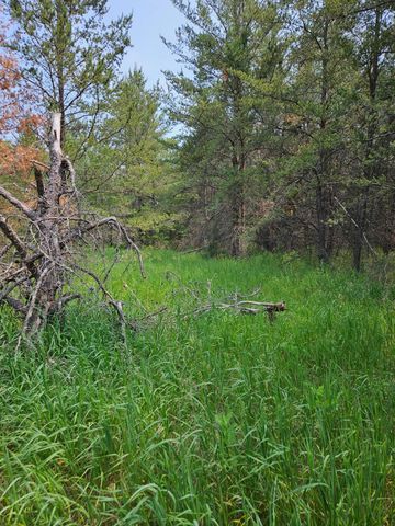 TBD W Riverside Trail, Staples, MN 56479