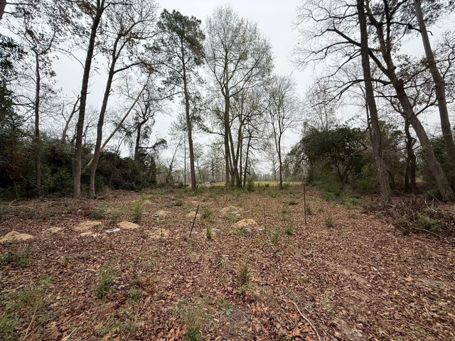 TBD Skylane Dr, Montgomery, TX 77356