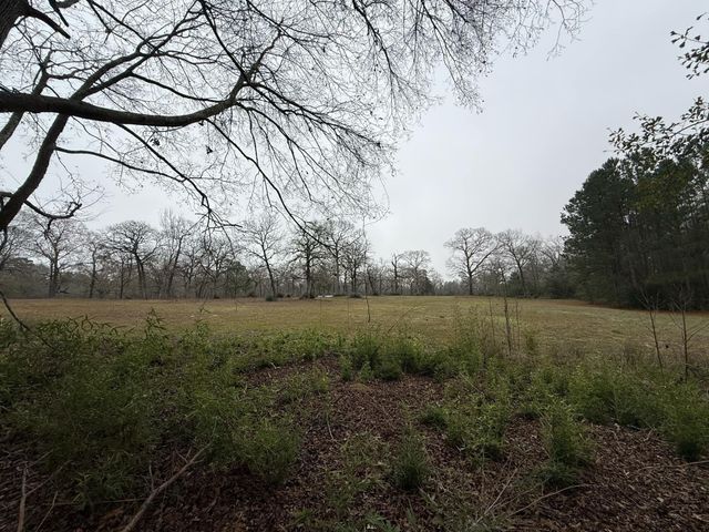 TBD Skylane Dr, Montgomery, TX 77356