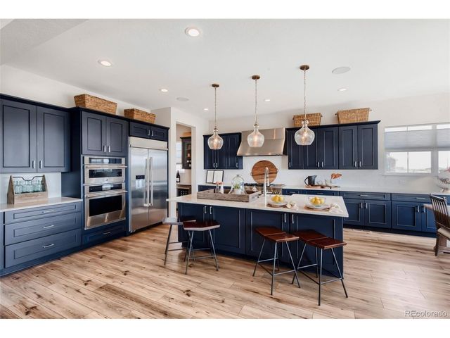 3574 Tacklebox Ct, Castle Rock, CO 80108