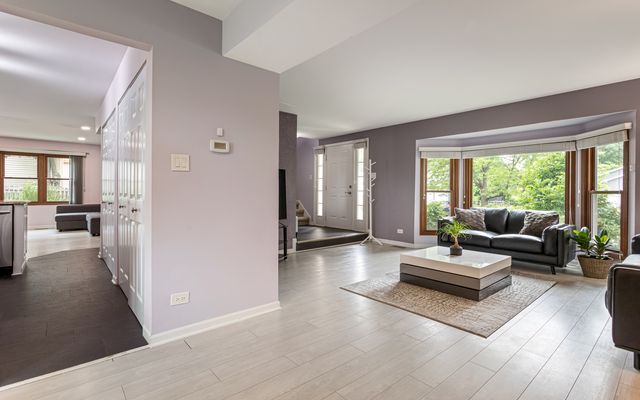 17603 W Windslow Drive, Grayslake, IL 60030