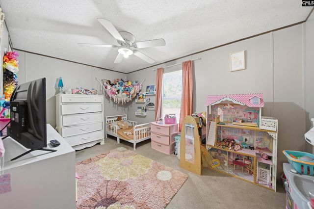1729 Windy Wood Road, Pelion, SC 29123