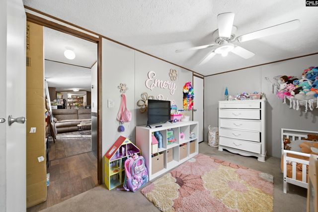 1729 Windy Wood Road, Pelion, SC 29123
