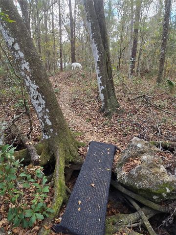 25344 CROOM ROAD, Brooksville, FL 34601