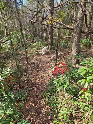 25344 CROOM ROAD, Brooksville, FL 34601