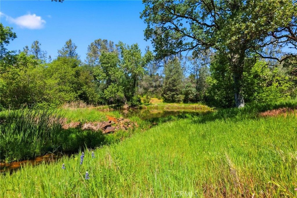 Image 30 of property listing at 105 Swedes Flat Road, Oroville, CA 95966